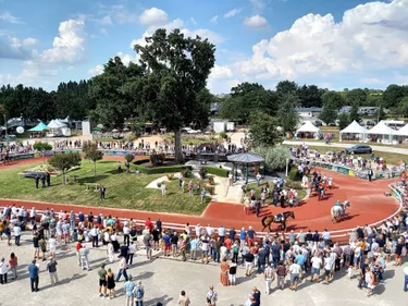 Les pronostics hippiques pour ce dimanche 1er décembre